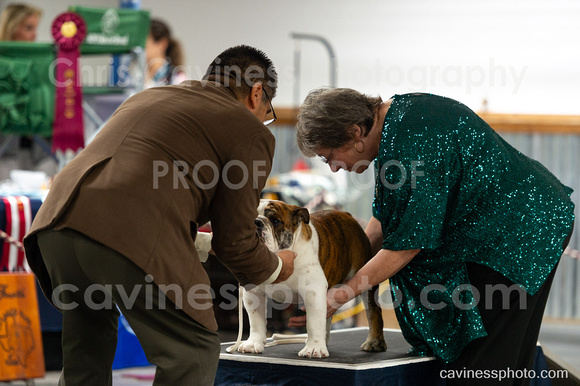 cavinessphoto_candids_CCP8658