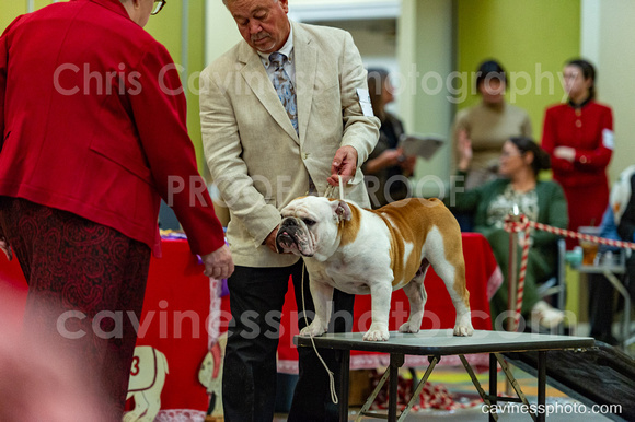 cavinessphoto_candids_CCP2754
