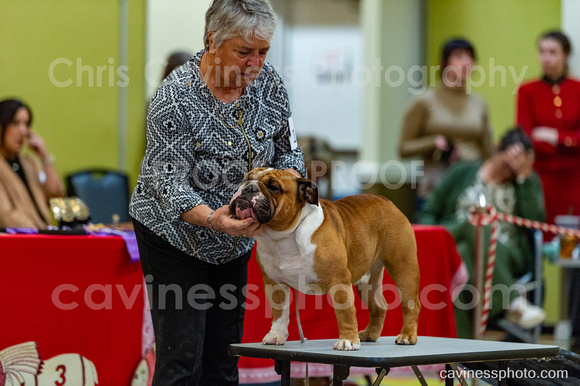 cavinessphoto_candids_CCP2758