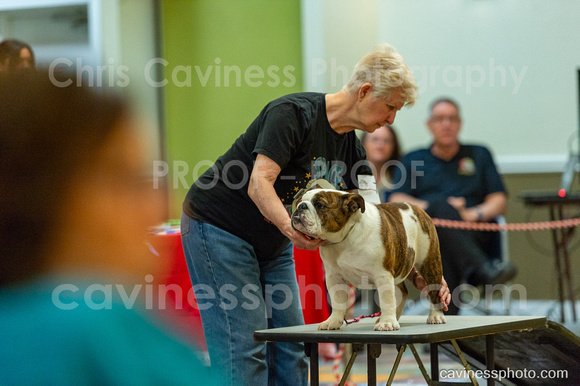 cavinessphoto_candids_CCP3055