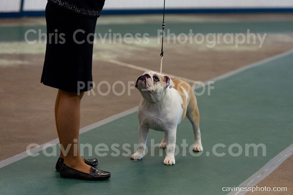 cavinessphoto_candids_CCP0999