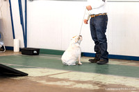 cavinessphoto_candids_CCP0510