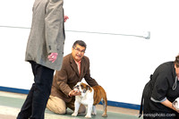 3 Sat AM Sweeps Candids