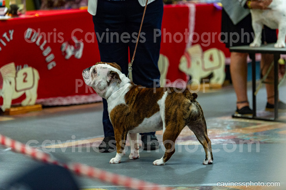 cavinessphoto_candids_CCP2416