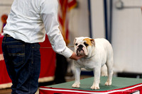 cavinessphoto_candids_CCP1009
