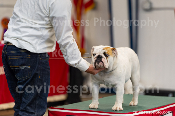 cavinessphoto_candids_CCP1009