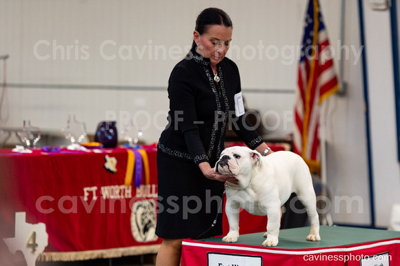 cavinessphoto_candids_CCP0930