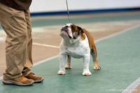 cavinessphoto_candids_CCP0569
