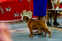 cavinessphoto_candids_CCP2746