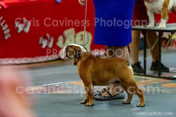 cavinessphoto_candids_CCP2746