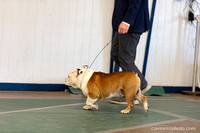 3 Sat AM Veteran Candids