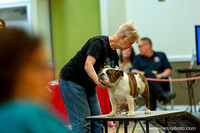 cavinessphoto_candids_CCP3054