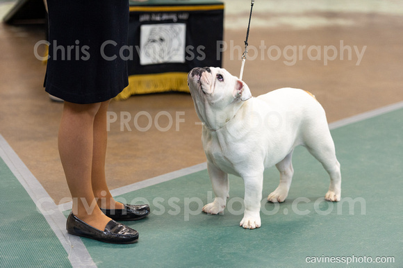 cavinessphoto_candids_CCP0560