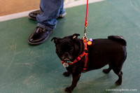 cavinessphoto_candids_CCP0506