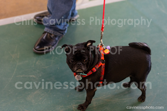 cavinessphoto_candids_CCP0506