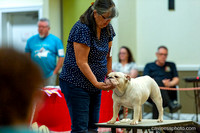 cavinessphoto_candids_CCP3064