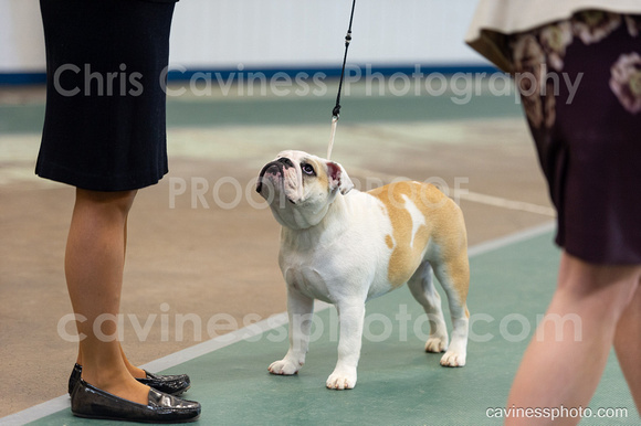 cavinessphoto_candids_CCP0669