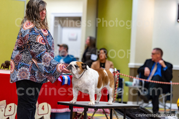 cavinessphoto_candids_CCP2434