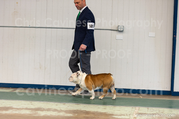 cavinessphoto_candids_CCP0797