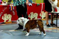 cavinessphoto_candids_CCP2537