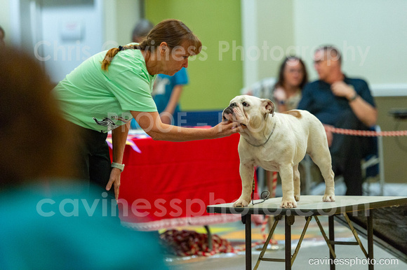 cavinessphoto_candids_CCP3050