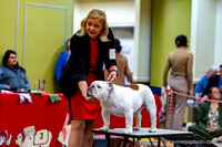 cavinessphoto_candids_CCP2531
