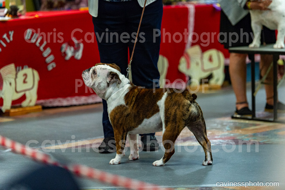 cavinessphoto_candids_CCP2415