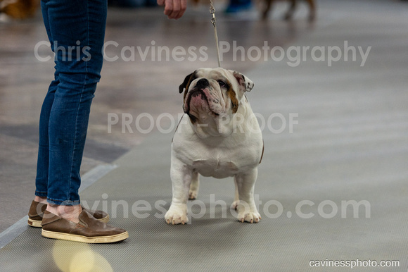 cavinessphoto_candids_CCP0237