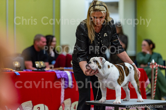 cavinessphoto_candids_CCP2740