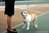 cavinessphoto_candids_CCP0671