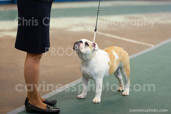 cavinessphoto_candids_CCP0671