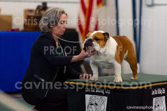 cavinessphoto_candids_CCP0837