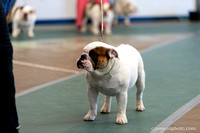 cavinessphoto_candids_CCP1641