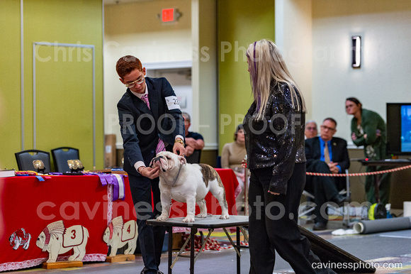 cavinessphoto_candids_CCP2709