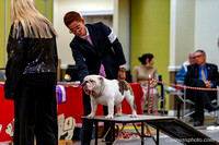 cavinessphoto_candids_CCP2712