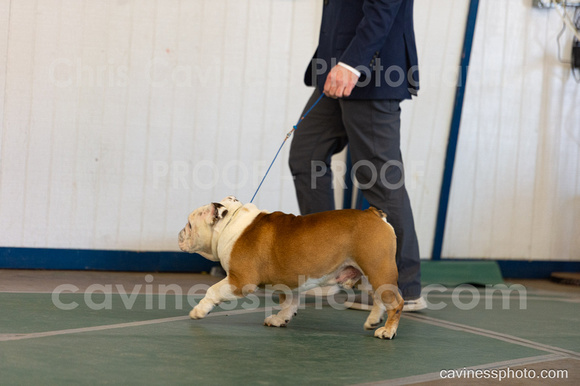 cavinessphoto_candids_CCP0785