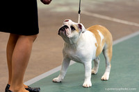 cavinessphoto_candids_CCP0674