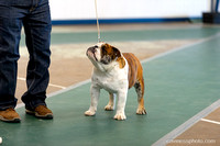 cavinessphoto_candids_CCP1350