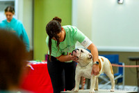 cavinessphoto_candids_CCP3067