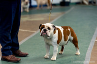 cavinessphoto_candids_CCP0832