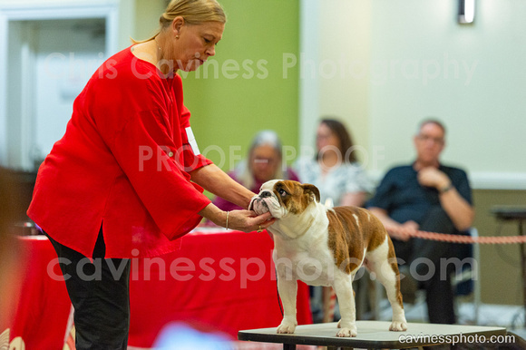 cavinessphoto_candids_CCP3060