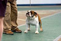 cavinessphoto_candids_CCP0567