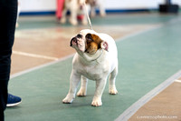 cavinessphoto_candids_CCP1639