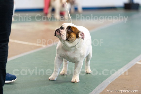 cavinessphoto_candids_CCP1639