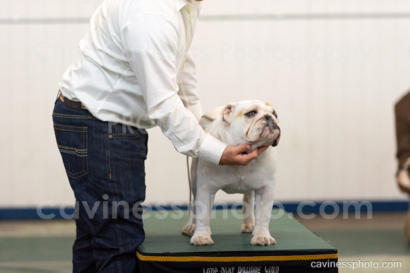 cavinessphoto_candids_CCP0518