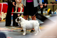 cavinessphoto_candids_CCP2426