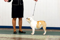 cavinessphoto_candids_CCP1011