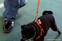 cavinessphoto_candids_CCP0504