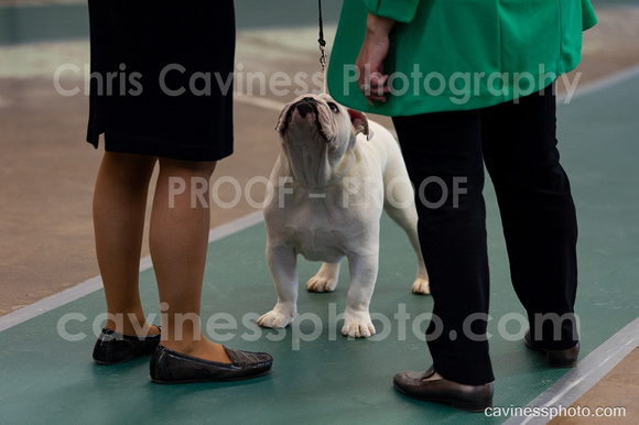 cavinessphoto_candids_CCP0936