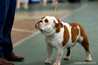 cavinessphoto_candids_CCP0833